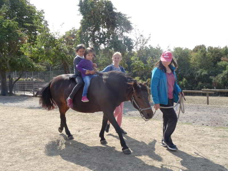 Kinder auf Pferd